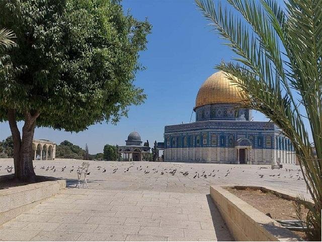 الاحتلال يواصل إغلاق الأقصى لليوم الـ 36
