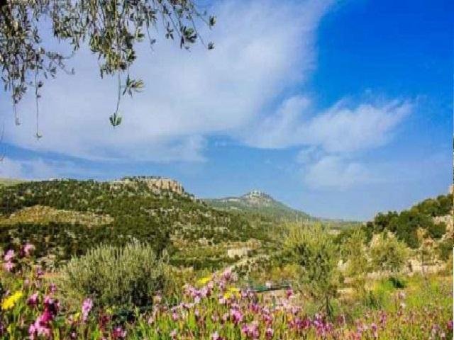 أجواء مشمسـة ومعتدلة الحرارة في أغلب المناطق الأربعاء