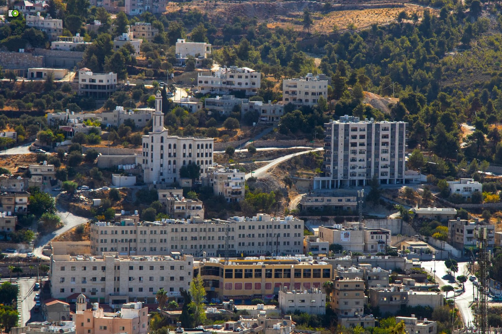 الثلاثاء .. طقس معتدل الحرارة في أغلب المناطق